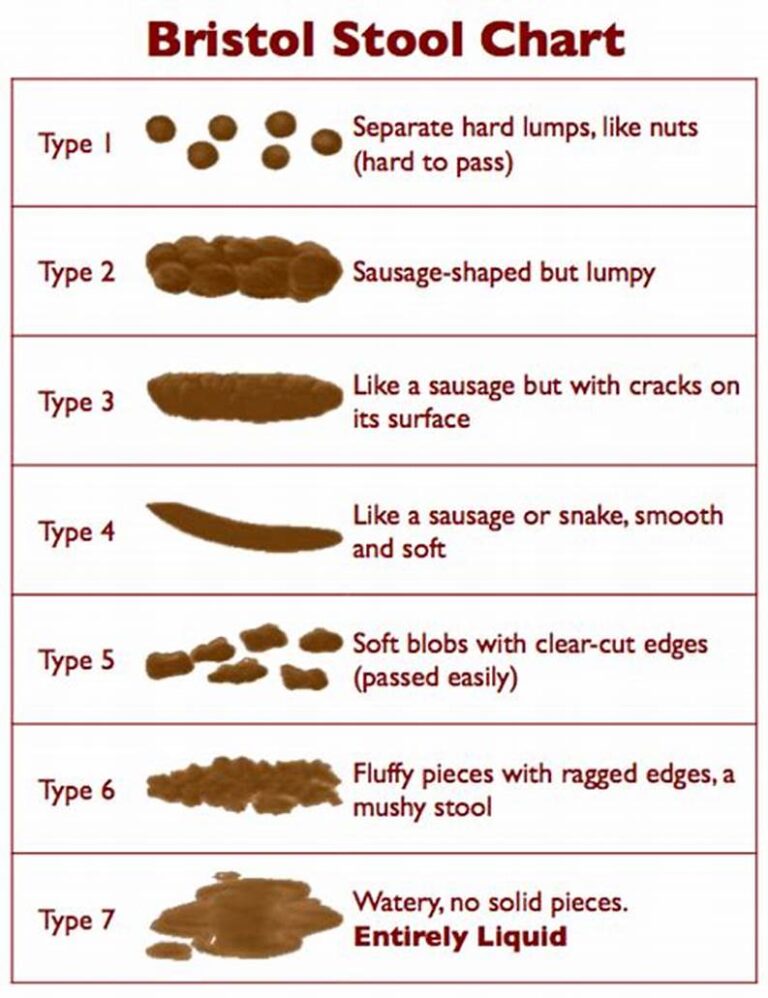 Bowel Assessment – NMC OSCE Skill Station