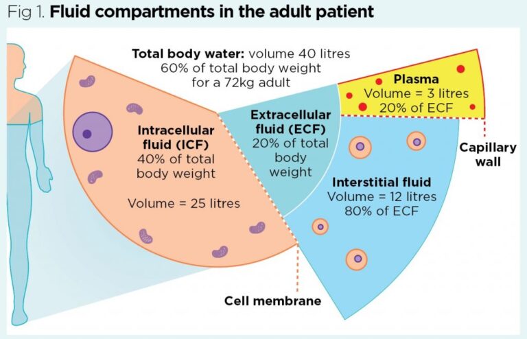 Fluid Balance Calculation for OSCE