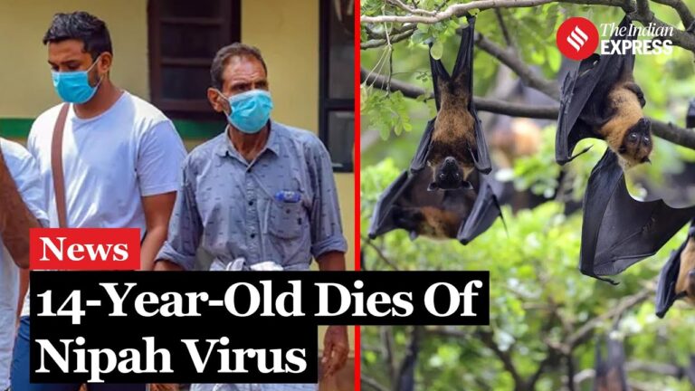 Emergency Alert Placed On Nipah virus As 14 year old boy Dies