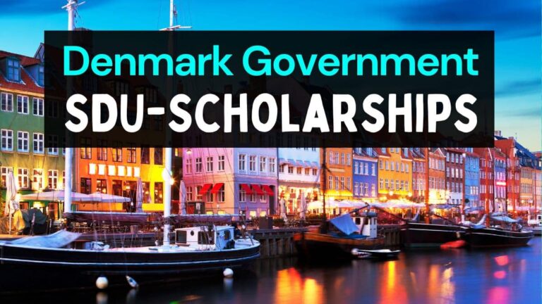 SDU Danish Government Scholarships 2025 (Study in Denmark)